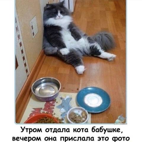http://upforme.ru/uploads/000d/6b/61/3813/t161588.jpg