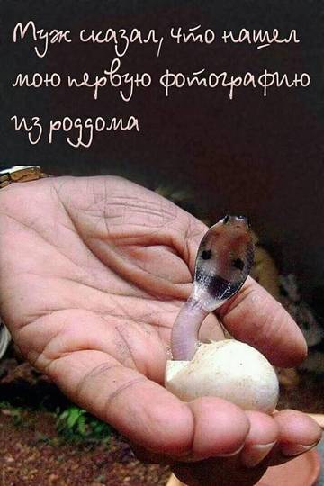 http://upforme.ru/uploads/000d/6b/61/3813/t17198.jpg