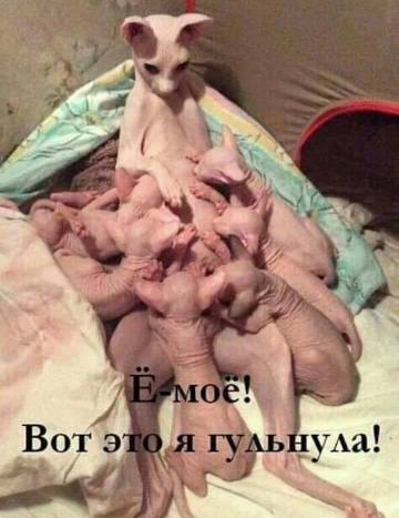 http://upforme.ru/uploads/000d/6b/61/3813/t17525.jpg