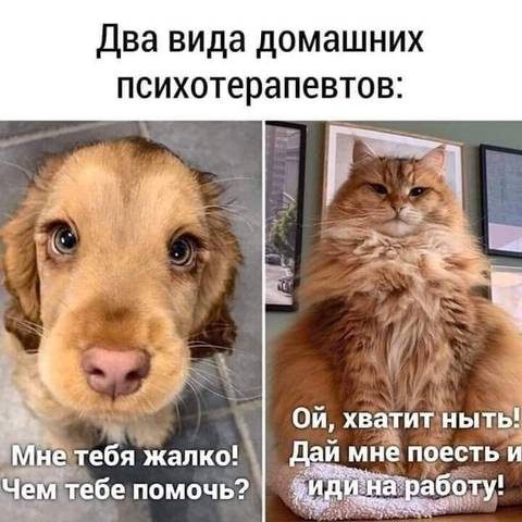 http://upforme.ru/uploads/000d/6b/61/3813/t183035.jpg