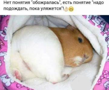 http://upforme.ru/uploads/000d/6b/61/3813/t23201.jpg