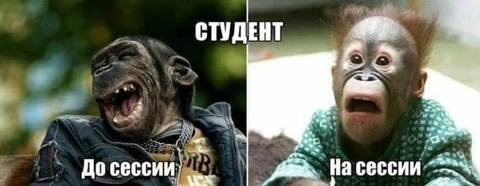 http://upforme.ru/uploads/000d/6b/61/3813/t24250.jpg