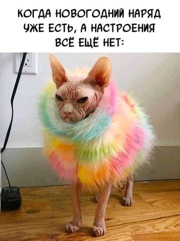 http://upforme.ru/uploads/000d/6b/61/3813/t24352.jpg