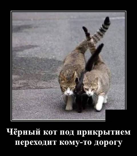 http://upforme.ru/uploads/000d/6b/61/3813/t259239.jpg