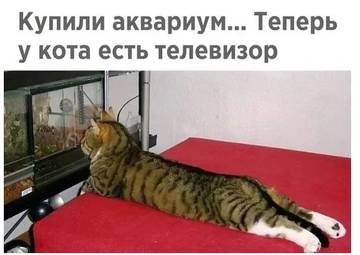 http://upforme.ru/uploads/000d/6b/61/3813/t29806.jpg