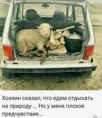 http://upforme.ru/uploads/000d/6b/61/3813/t304070.jpg