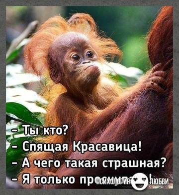 http://upforme.ru/uploads/000d/6b/61/3813/t34840.jpg