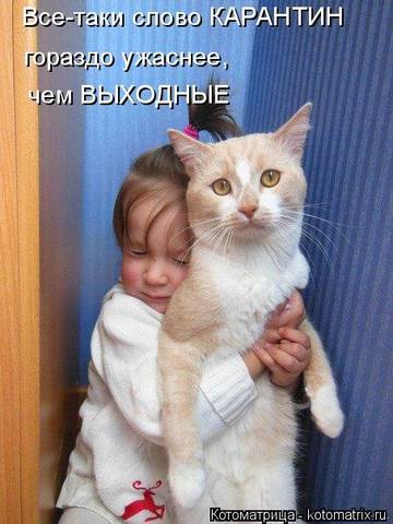 http://upforme.ru/uploads/000d/6b/61/3813/t39462.jpg