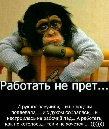 http://upforme.ru/uploads/000d/6b/61/3813/t39861.jpg