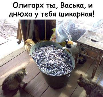 http://upforme.ru/uploads/000d/6b/61/3813/t40269.jpg