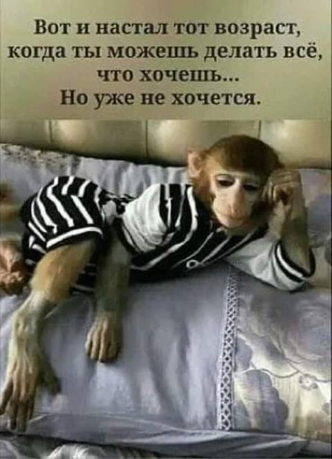 http://upforme.ru/uploads/000d/6b/61/3813/t468824.jpg