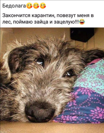 http://upforme.ru/uploads/000d/6b/61/3813/t47404.jpg
