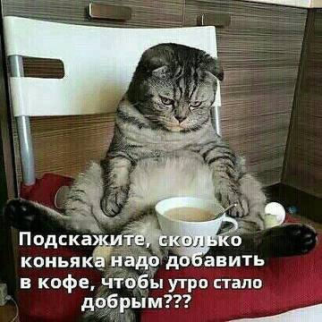 http://upforme.ru/uploads/000d/6b/61/3813/t47624.jpg