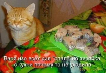 http://upforme.ru/uploads/000d/6b/61/3813/t48287.jpg