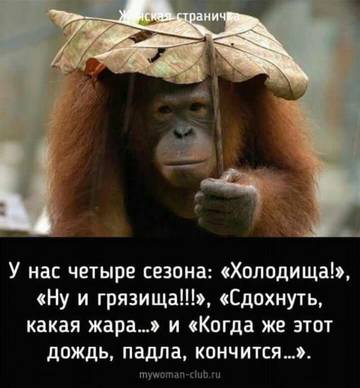 http://upforme.ru/uploads/000d/6b/61/3813/t48295.jpg