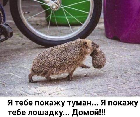 http://upforme.ru/uploads/000d/6b/61/3813/t48974.jpg