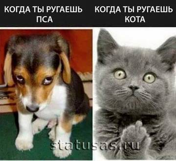 http://upforme.ru/uploads/000d/6b/61/3813/t50329.jpg