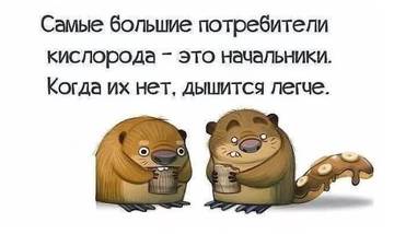 http://upforme.ru/uploads/000d/6b/61/3813/t50980.jpg