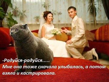 http://upforme.ru/uploads/000d/6b/61/3813/t51474.jpg