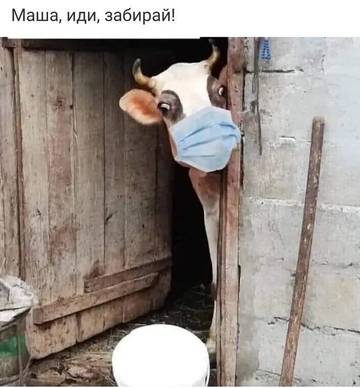 http://upforme.ru/uploads/000d/6b/61/3813/t522400.jpg