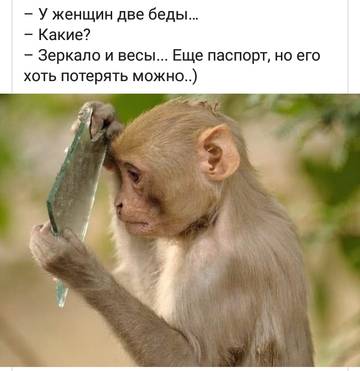 http://upforme.ru/uploads/000d/6b/61/3813/t53012.jpg