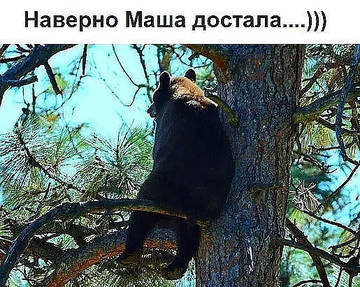 http://upforme.ru/uploads/000d/6b/61/3813/t53343.jpg