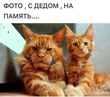 http://upforme.ru/uploads/000d/6b/61/3813/t53756.jpg