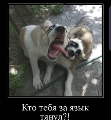 http://upforme.ru/uploads/000d/6b/61/3813/t53983.jpg
