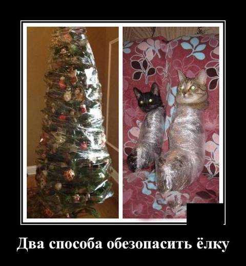 http://upforme.ru/uploads/000d/6b/61/3813/t55926.jpg