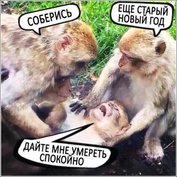 http://upforme.ru/uploads/000d/6b/61/3813/t56551.jpg