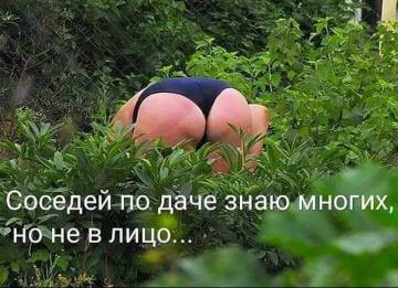 http://upforme.ru/uploads/000d/6b/61/3813/t57668.jpg