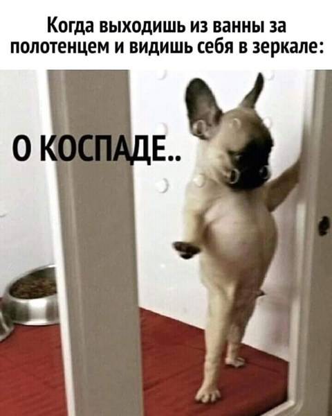 http://upforme.ru/uploads/000d/6b/61/3813/t57745.jpg