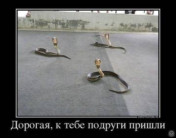 http://upforme.ru/uploads/000d/6b/61/3813/t58298.jpg