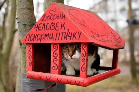 http://upforme.ru/uploads/000d/6b/61/3813/t58384.jpg