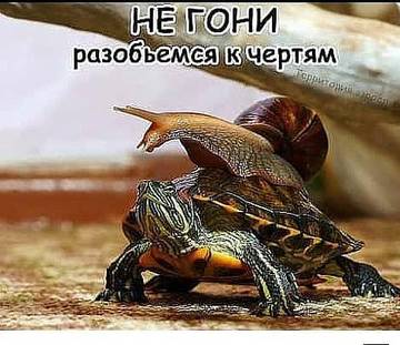 http://upforme.ru/uploads/000d/6b/61/3813/t58840.jpg