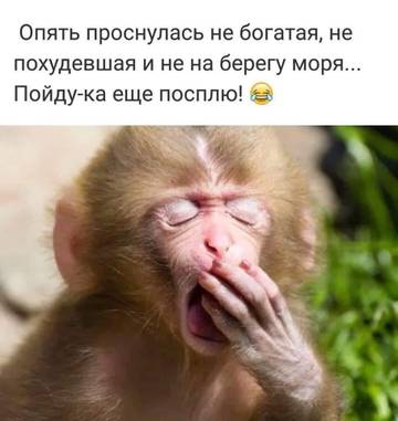 http://upforme.ru/uploads/000d/6b/61/3813/t63394.jpg