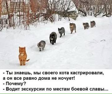 http://upforme.ru/uploads/000d/6b/61/3813/t65533.jpg