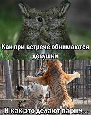 http://upforme.ru/uploads/000d/6b/61/3813/t67113.jpg