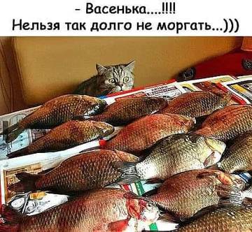 http://upforme.ru/uploads/000d/6b/61/3813/t67795.jpg