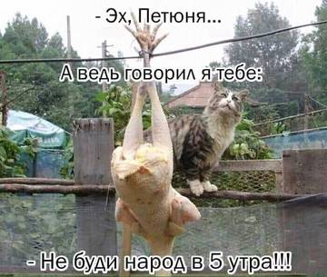 http://upforme.ru/uploads/000d/6b/61/3813/t68114.jpg