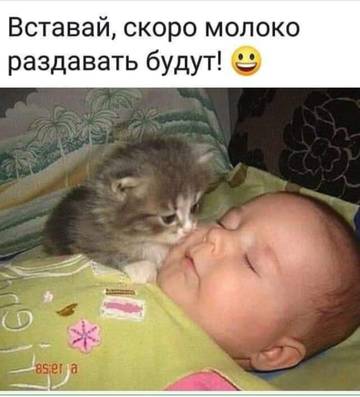 http://upforme.ru/uploads/000d/6b/61/3813/t68250.jpg