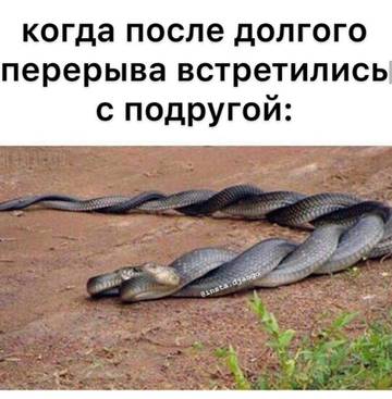 http://upforme.ru/uploads/000d/6b/61/3813/t68789.jpg