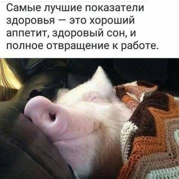 http://upforme.ru/uploads/000d/6b/61/3813/t70099.jpg