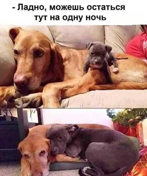 http://upforme.ru/uploads/000d/6b/61/3813/t713125.jpg