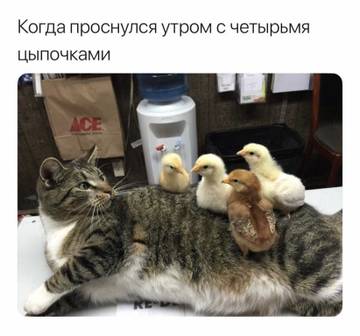 http://upforme.ru/uploads/000d/6b/61/3813/t72099.jpg