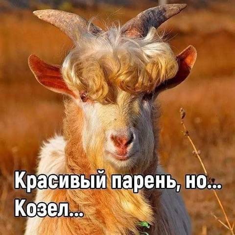 http://upforme.ru/uploads/000d/6b/61/3813/t725242.jpg