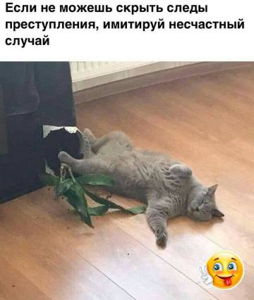http://upforme.ru/uploads/000d/6b/61/3813/t72693.jpg