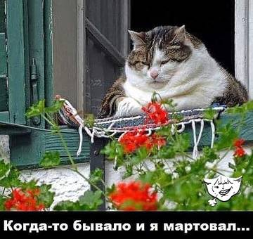 http://upforme.ru/uploads/000d/6b/61/3813/t73762.jpg