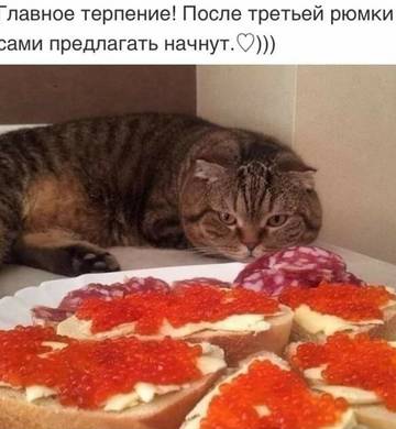 http://upforme.ru/uploads/000d/6b/61/3813/t75315.jpg