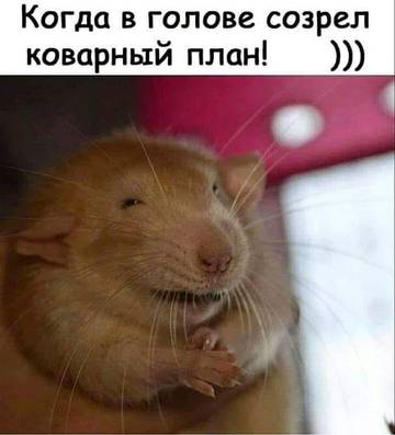 http://upforme.ru/uploads/000d/6b/61/3813/t75707.jpg
